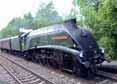 Photograph of UNION OF SOUTH AFRICA - 60009 UNION OF SOUTH AFRICA at Tilehurst on 25/05/14