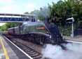 Photograph of UNION OF SOUTH AFRICA - 60009 UNION OF SOUTH AFRICA at Tilehurst on 25/05/14