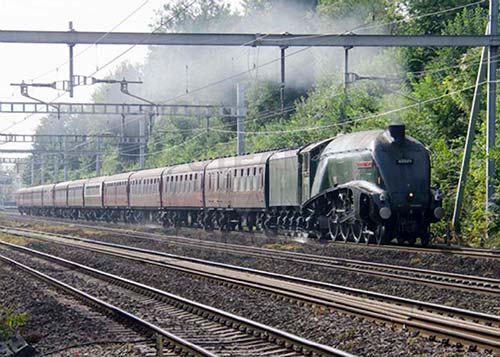 See large image