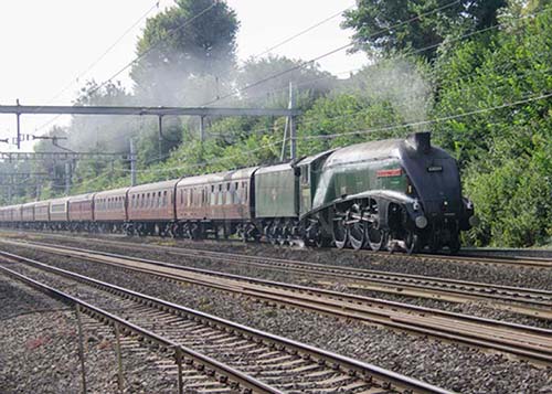 See large image
