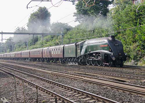See large image