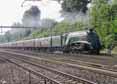 Photograph of UNION OF SOUTH AFRICA - 60009 UNION OF SOUTH AFRICA at Tilehurst on 26/08/17