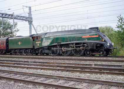Purchase photo of 60009 UNION OF SOUTH AFRICA at Tilehurst