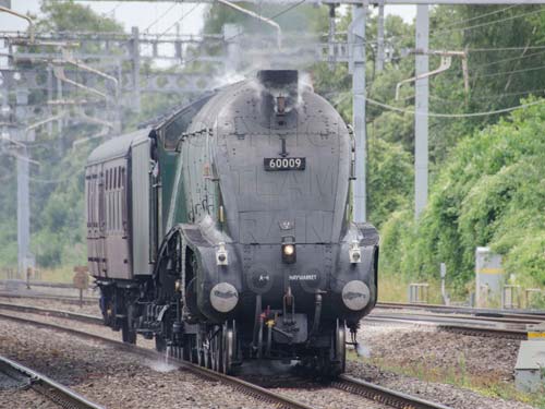 See large image