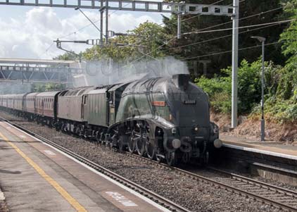 Purchase photo of 60009 UNION OF SOUTH AFRICA at Tilehurst