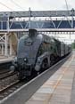 Photograph of UNION OF SOUTH AFRICA - 60009 UNION OF SOUTH AFRICA at Tilehurst on 28/06/18