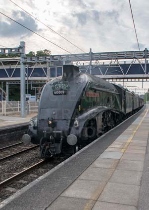 Purchase photo of 60009 UNION OF SOUTH AFRICA at Tilehurst