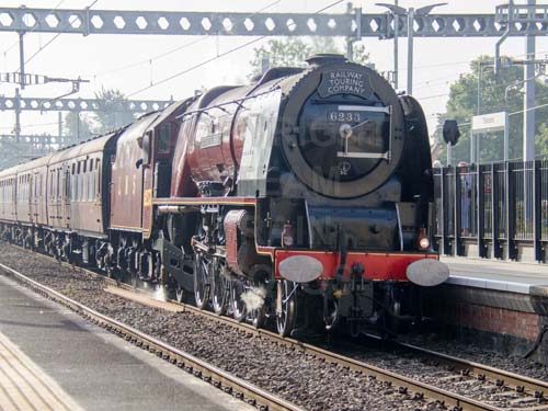 See large image