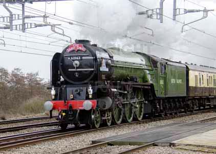 Purchase photo of 60163 TORNADO at Tilehurst