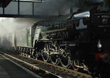 Purchase photo of Light And Dark at Tilehurst