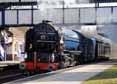 Photograph of TORNADO - 60163 TORNADO at Tilehurst on 05/03/13