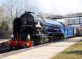 Photograph of TORNADO - 60163 TORNADO at Tilehurst on 05/03/13