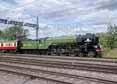 Photograph of TORNADO - 60163 TORNADO at Tilehurst on 06/08/17
