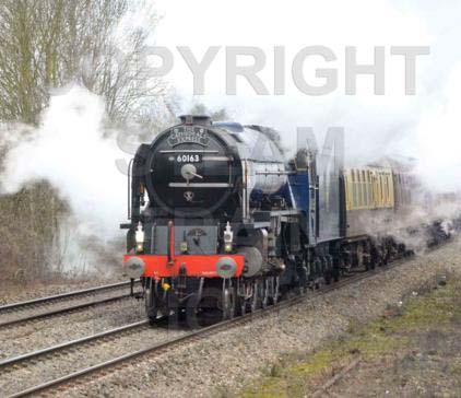 Purchase posters of 60163 TORNADO
