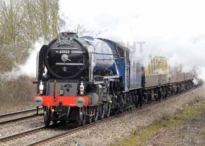 Purchase photo of 60163 TORNADO at Tilehurst