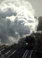 Photograph of TORNADO - 60163 TORNADO at Tilehurst on 26/11/11