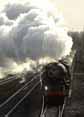 Photograph of TORNADO - 60163 TORNADO at Tilehurst on 26/11/11