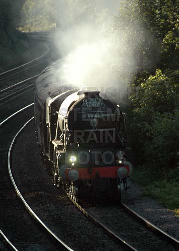 See large image