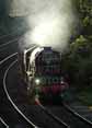 Photograph of TORNADO - 60163 TORNADO at Tilehurst on 28/06/12