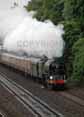 Photograph of TORNADO - 60163 TORNADO at Tilehurst on 29/05/10