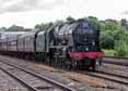 Photograph of SCOTS GUARDSMAN - 46115 SCOTS GUARDSMAN at Twyford on 16/07/16