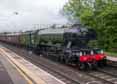 Photograph of FLYING SCOTSMAN - 60103 FLYING SCOTSMAN at Twyford on 21/05/16