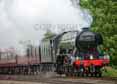 Photograph of FLYING SCOTSMAN - 60103 FLYING SCOTSMAN at Twyford on 21/05/16