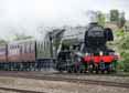 Photograph of FLYING SCOTSMAN - 60103 FLYING SCOTSMAN at Twyford on 21/05/16