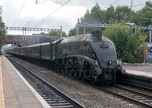 See large image