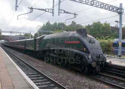 Purchase photo of 60009 UNION OF SOUTH AFRICA at Twyford