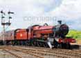 Photograph of HOGWARTS CASTLE (OLTON HALL) - 5972 HOGWARTS CASTLE (OLTON HALL) at Tyseley on 06/07/14