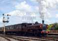 Photograph of (7752 0-6-0PT) - L94 (7752 0-6-0PT) at Tyseley on 06/07/14