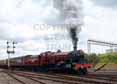 Photograph of HOGWARTS CASTLE (OLTON HALL) - 5972 HOGWARTS CASTLE (OLTON HALL) at Tyseley on 06/07/14