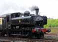 Photograph of 0-6-0PT - 9600 0-6-0PT at Tyseley on 25/06/11