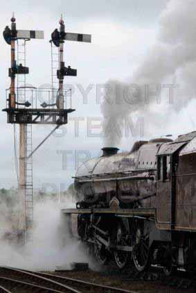 Purchase posters of 46201 PRINCESS ELIZABETH