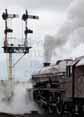 Photograph of PRINCESS ELIZABETH - 46201 PRINCESS ELIZABETH at Tyseley on 25/06/11