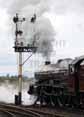 Photograph of PRINCESS ELIZABETH - 46201 PRINCESS ELIZABETH at Tyseley on 25/06/11
