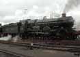 Photograph of NUNNEY CASTLE - 5029 NUNNEY CASTLE at Tyseley on 25/06/11