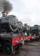 Photograph of Steam Images - The Line Up at Tyseley on 25/10/15