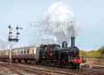 Photograph of Webb Coal Tank - 1054 Webb Coal Tank at Tyseley on 25/10/15