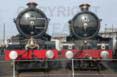 Poster ofKING GEORGE V - 6000 KING GEORGE V &  5043 EARL OF MOUNT EDGCUMBE at Tyseley on 25/10/15