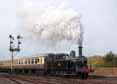 Photograph of Webb Coal Tank - 1054 Webb Coal Tank at Tyseley on 25/10/15