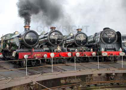 Purchase photo of 4965 ROOD ASHTON HALL,  6000 KING GEORGE V,  5043 EARL OF MOUNT EDGCUMBE &  71000 DUKE OF GLOUCESTER at Tyseley