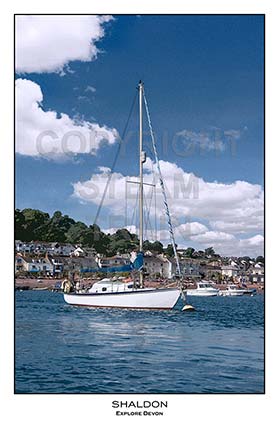 Purchase posters of Shaldon I
