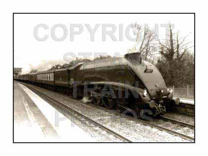 Purchase posters of Thundering Down The Line