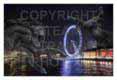 The Eye At Night