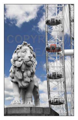 Purchase posters of The Lion And The Eye II