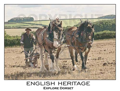 See large image