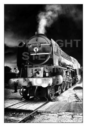 Purchase posters of Fire In The Night
