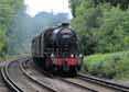 Photograph of 8F - 48151 8F at Virginia Water on 19/06/11